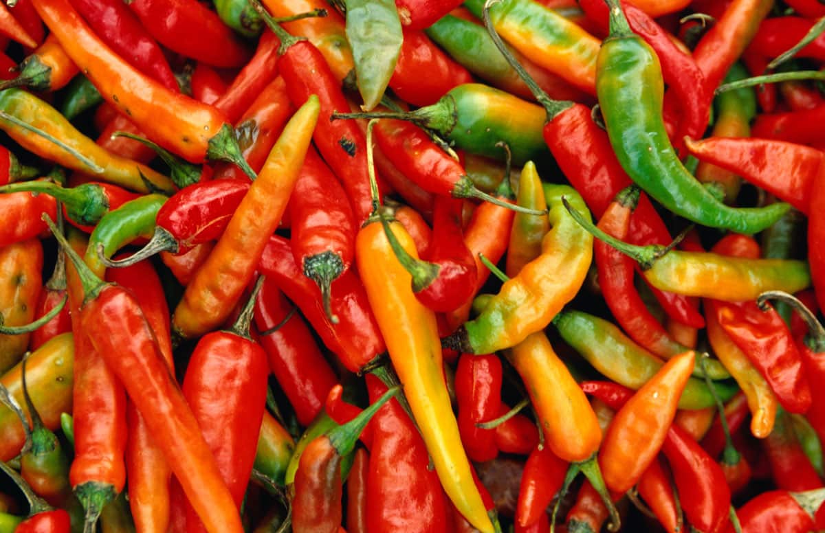 The perils of the mealtime brag