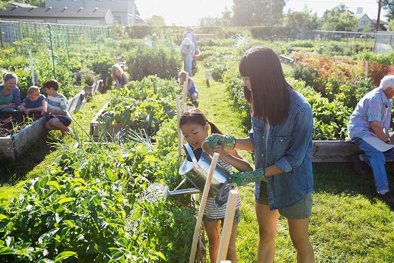 Community compost hubs in community gardens