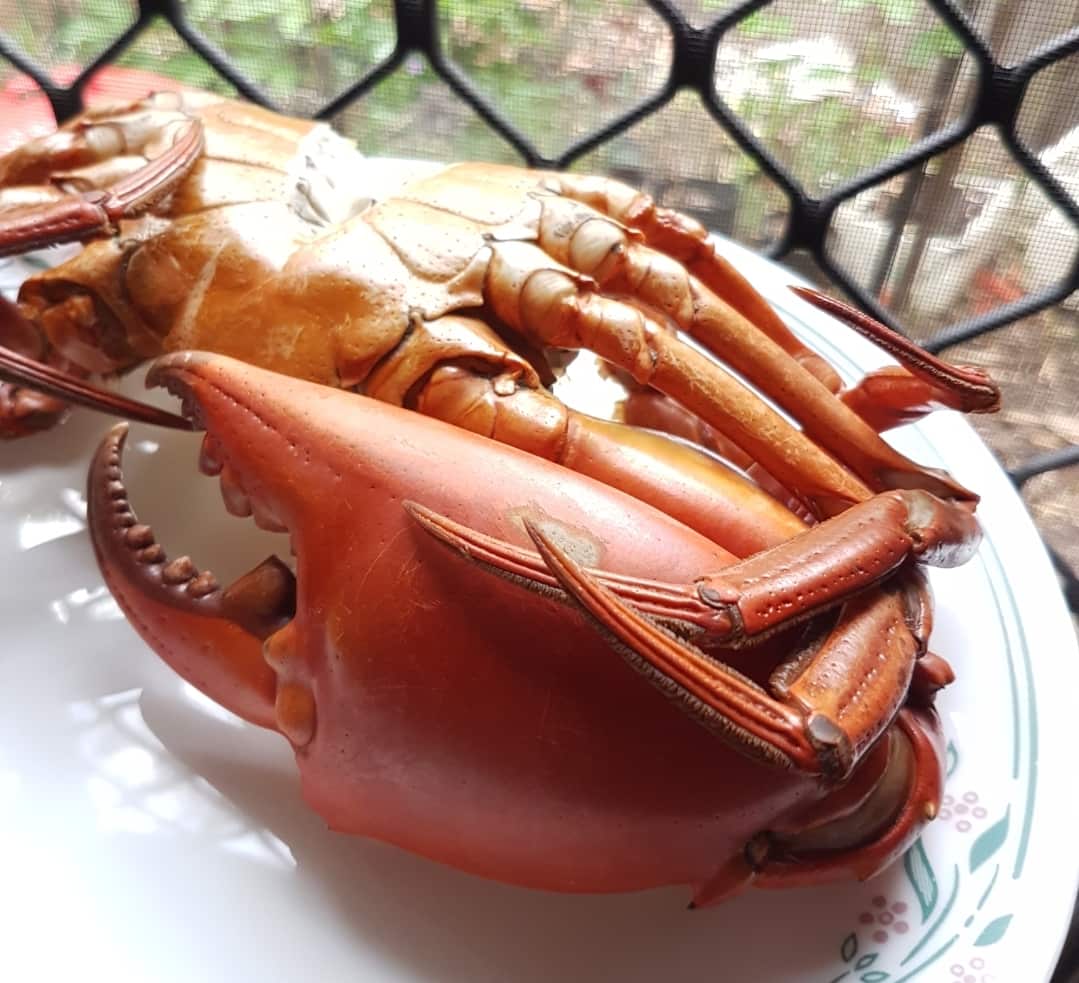 Crab