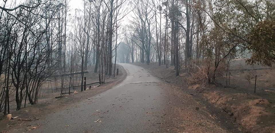 Returning to town after Black Summer