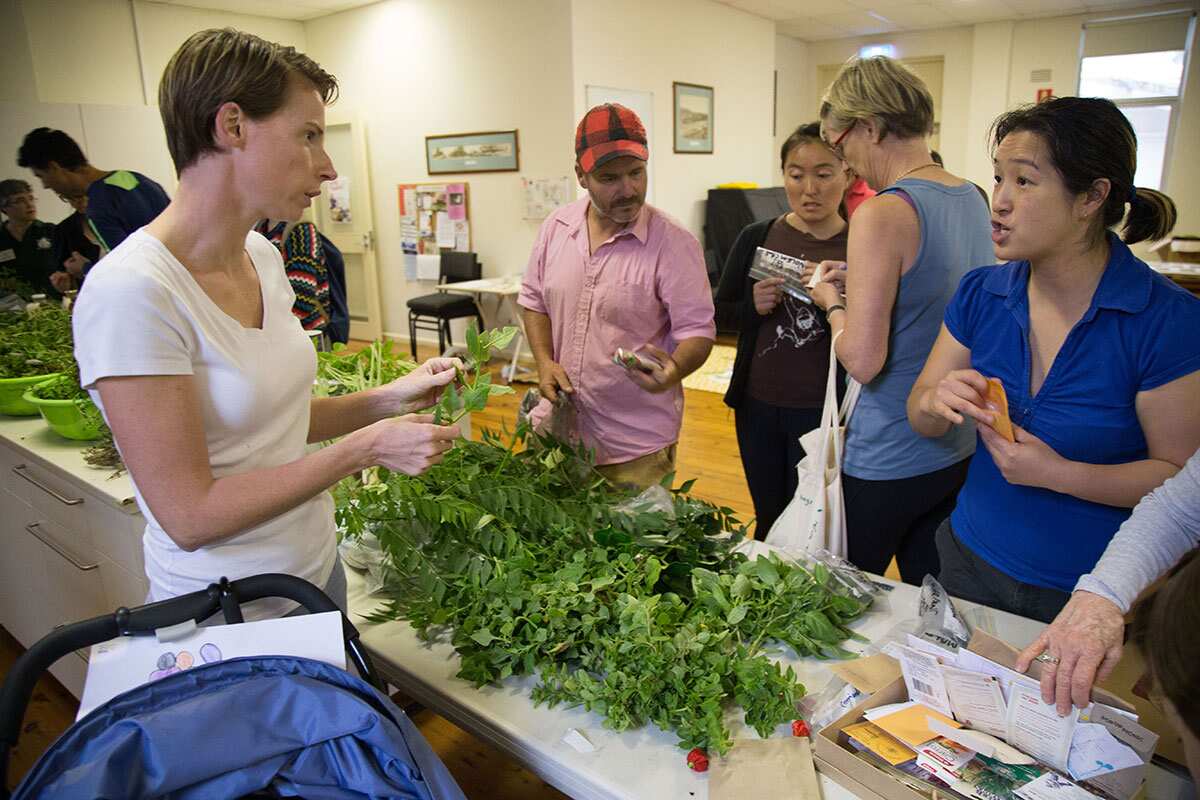 Crop Swap Australia has 12 sister groups across the country and is based on basic bartering principles.