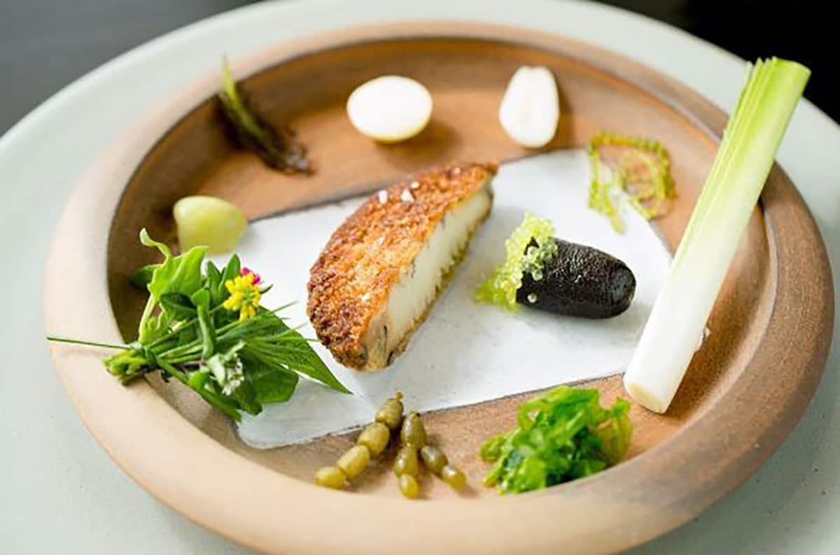 Crumbed abalone at noma australia