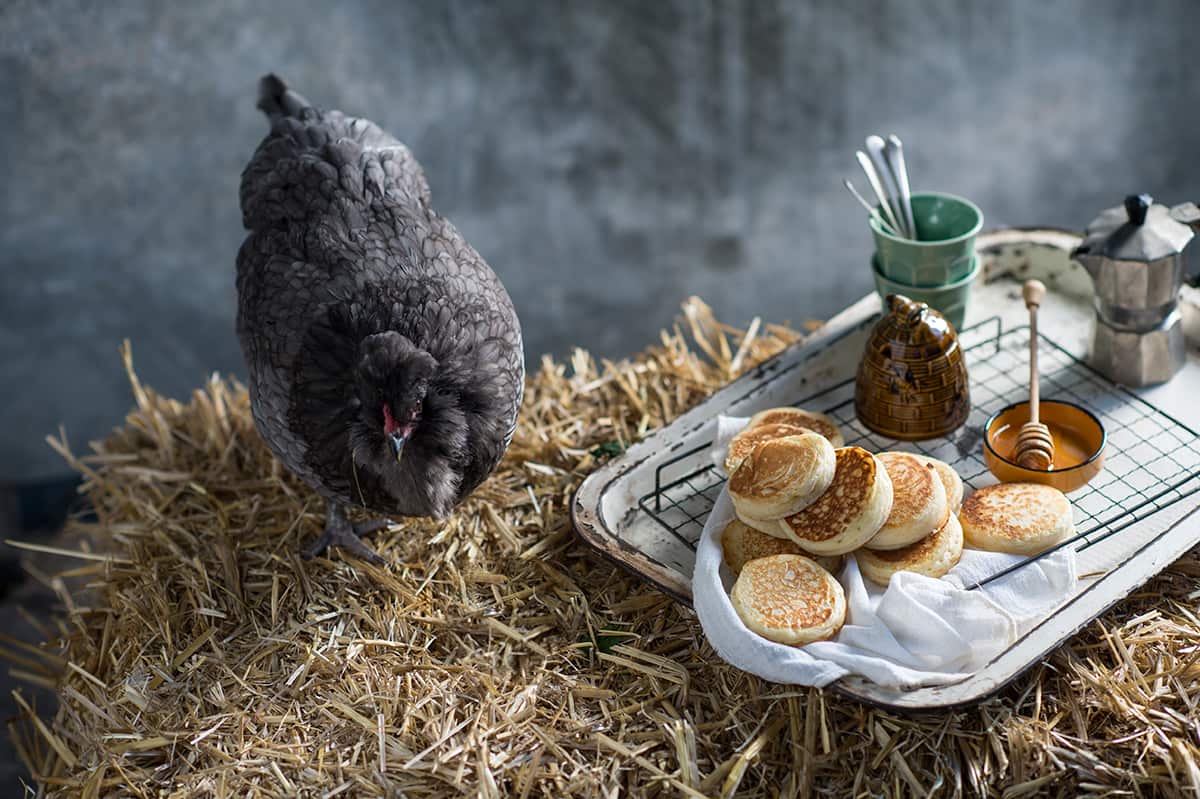 Matthew Evans' crumpets