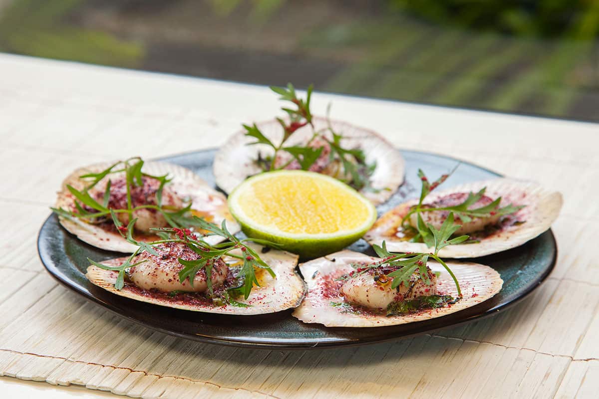 Scallops with Warrigal greens and Davidson plum butter