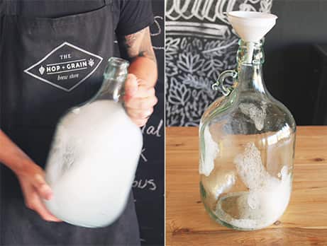 Sanitisating your equipment is the most important way to ensure cider success. (The Hop and Grain)