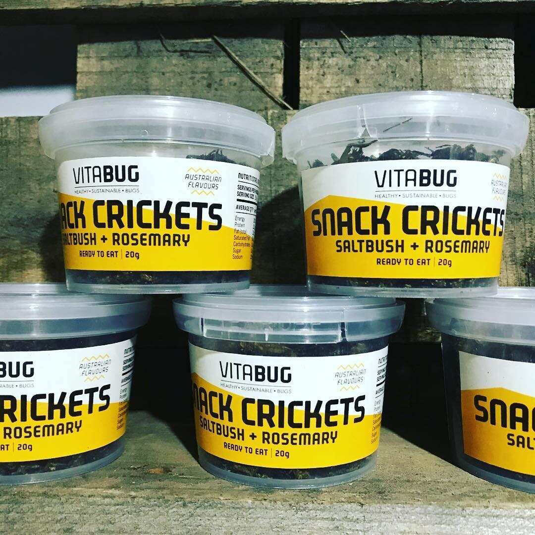 Snack crickets