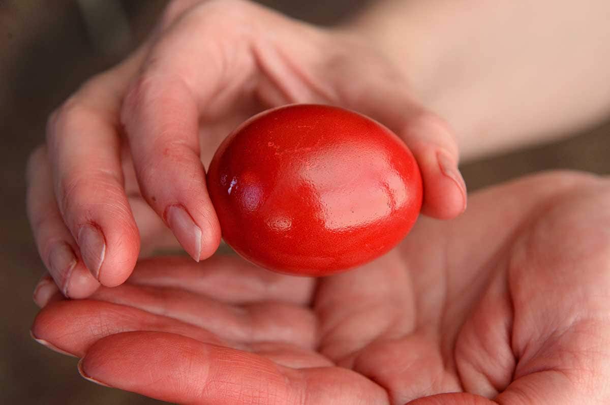 Hands with dyed red Easter egg