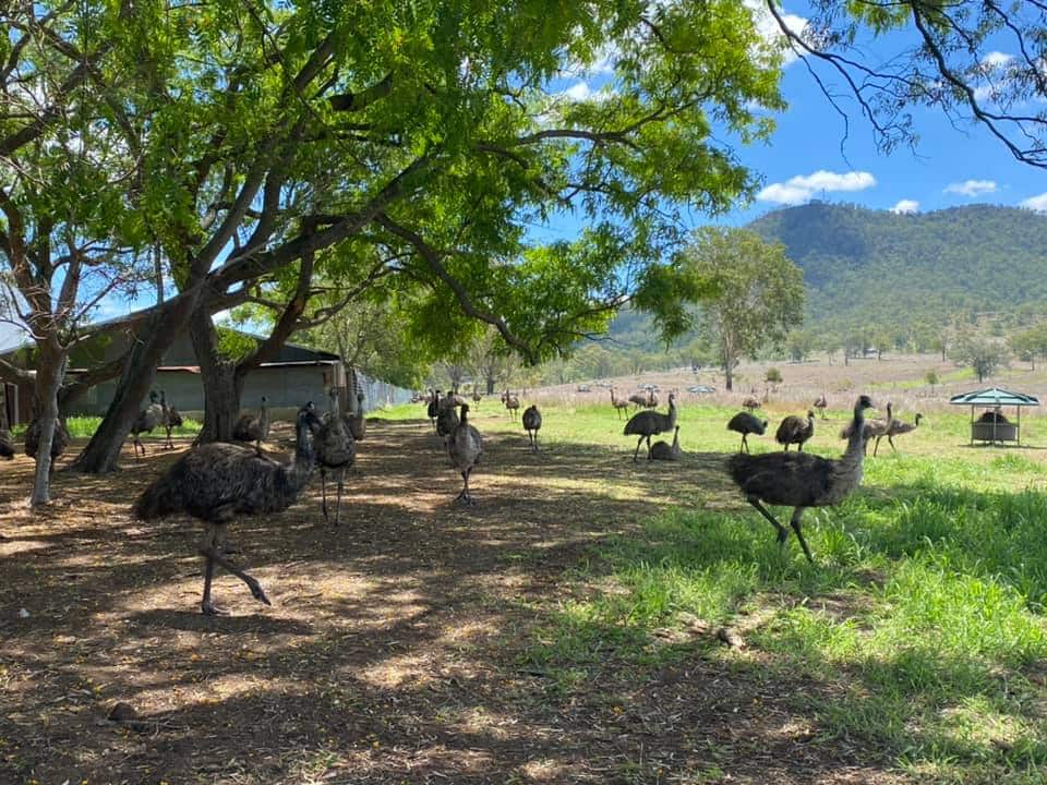 The Cook Up with Adam Liaw season 5