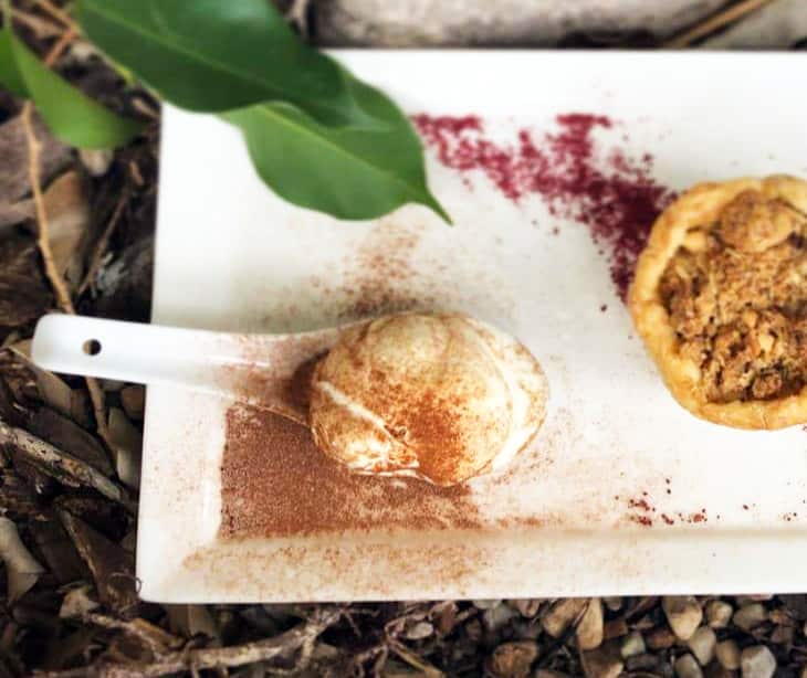 Wattleseed and vanilla ice-cream