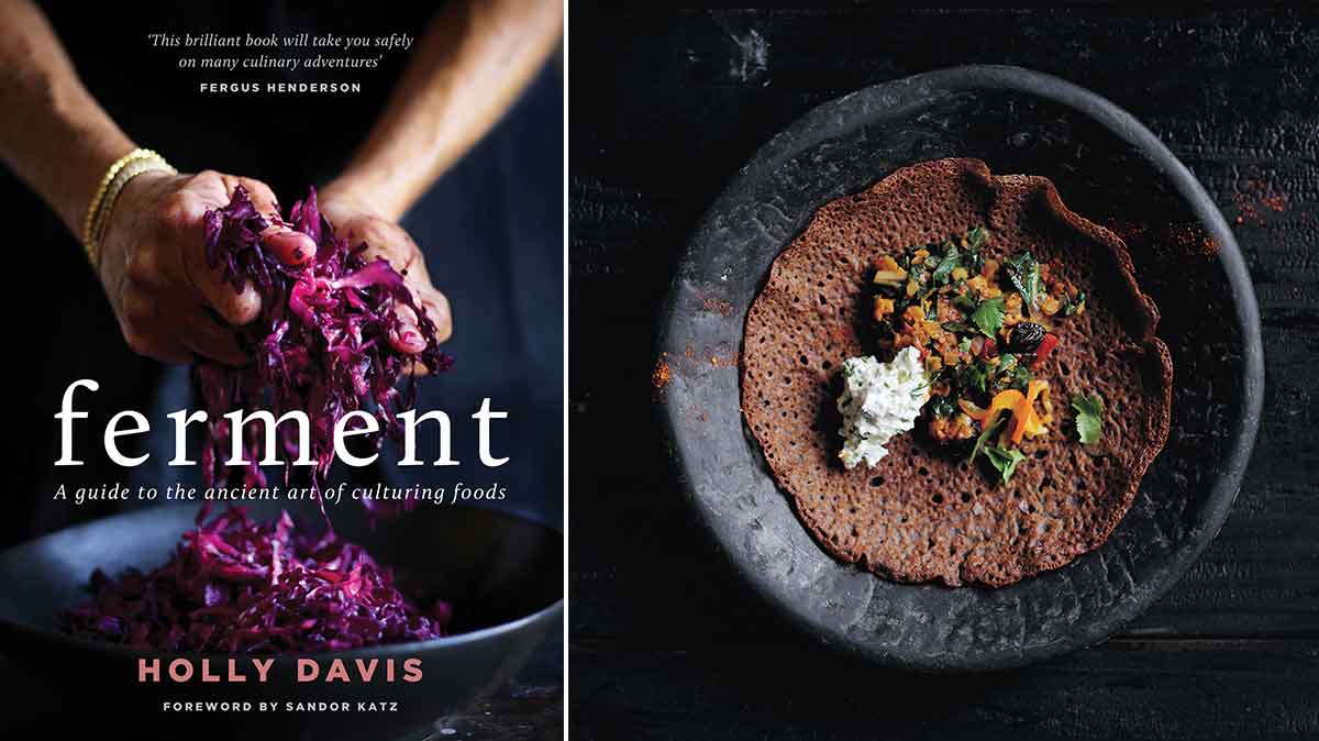 Holly Davis new book Ferment