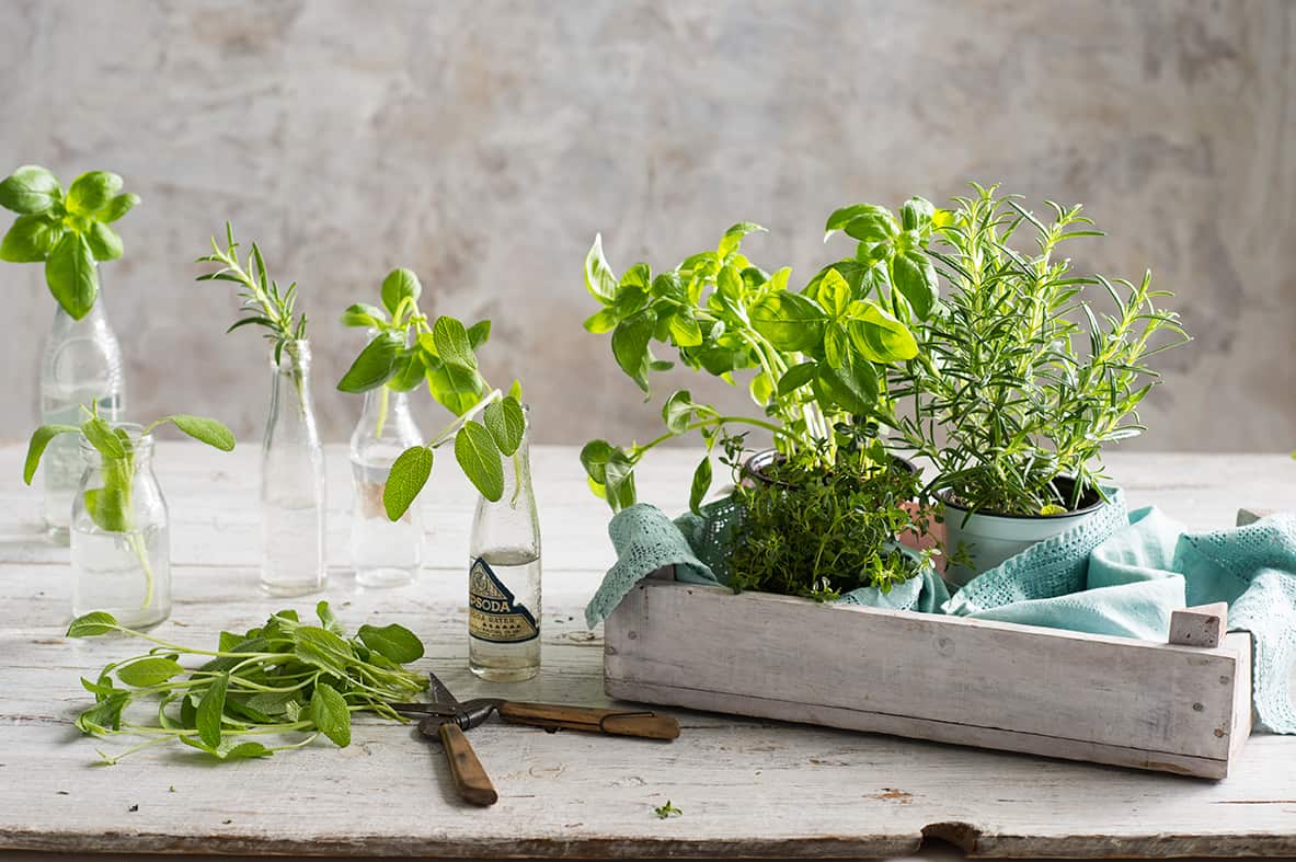 Christmas baking with fresh herbs