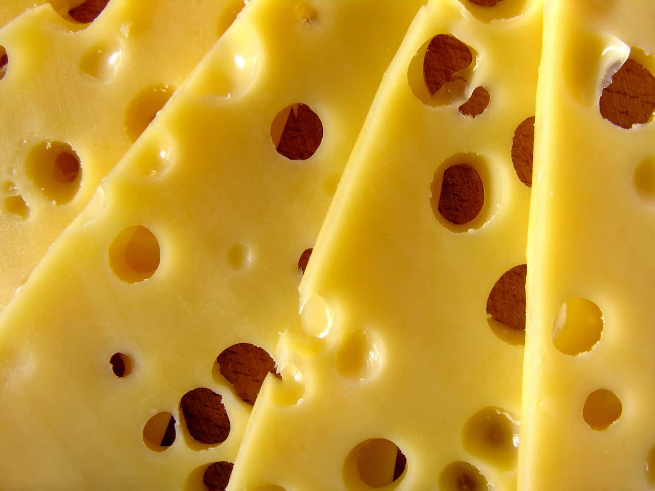 Swiss Emmental cheese with holes