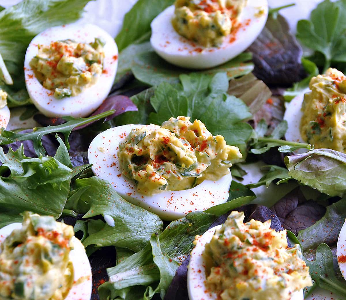 Devilled eggs with parsley, spring onion and jalapeno