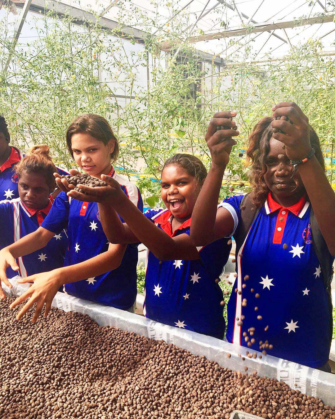 Food Ladder's climate-controlled structures help communities produce food for hundreds of locals.