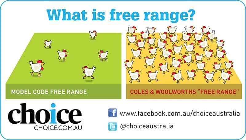 Infographic showing the difference between 1,500 chickens per hectare and 10,000 per hectare