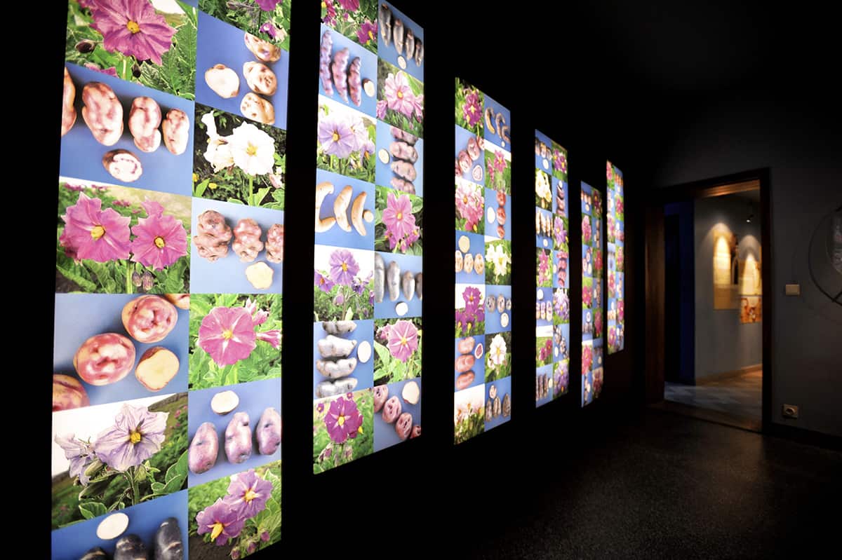 Frietmuseum in Bruges