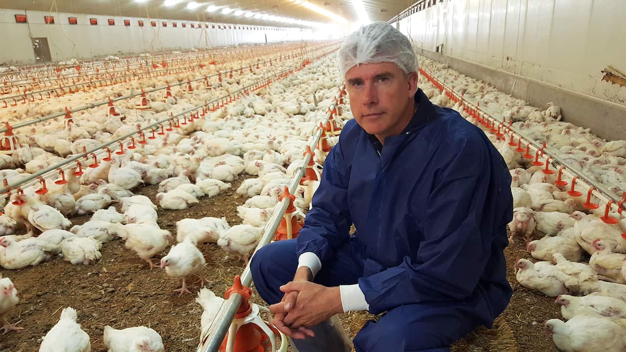 For the Love of Meat