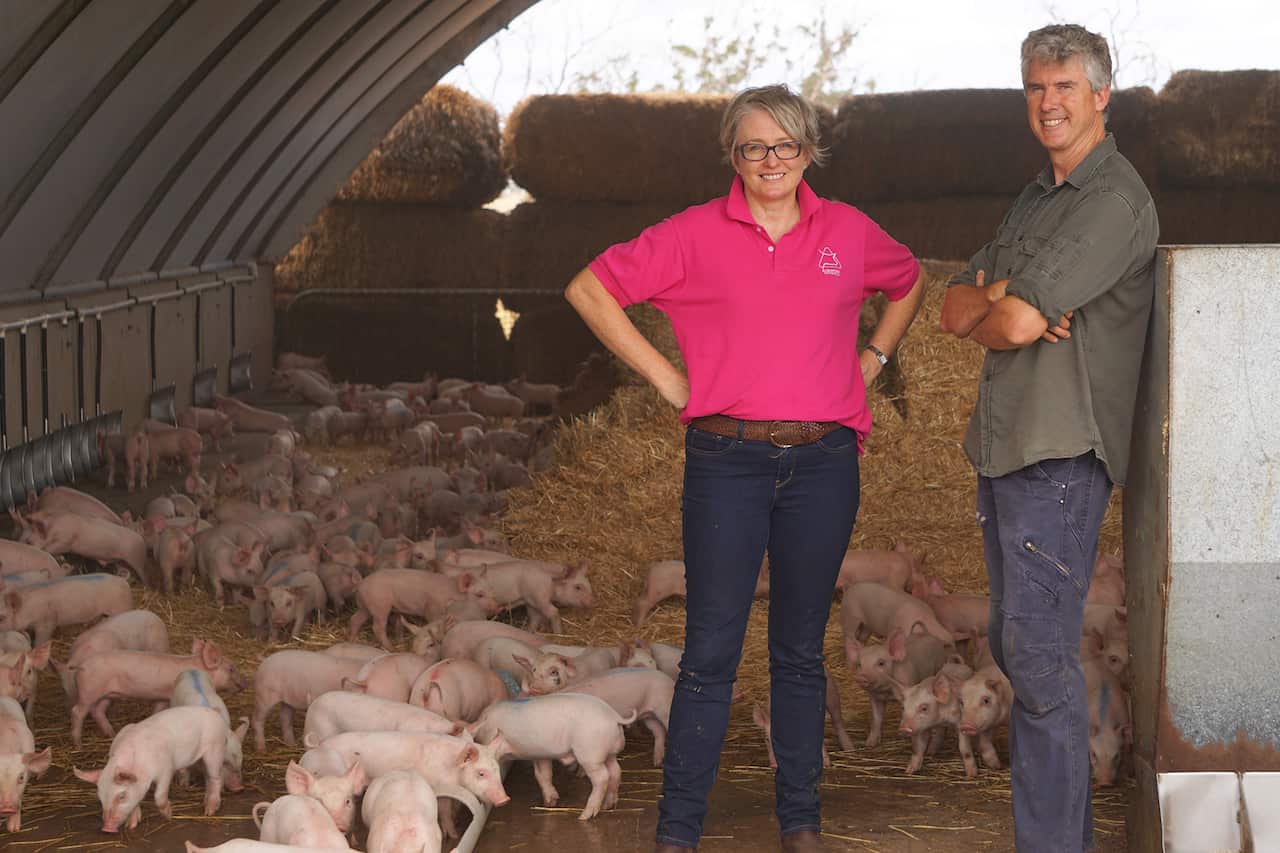 For the Love of Meat