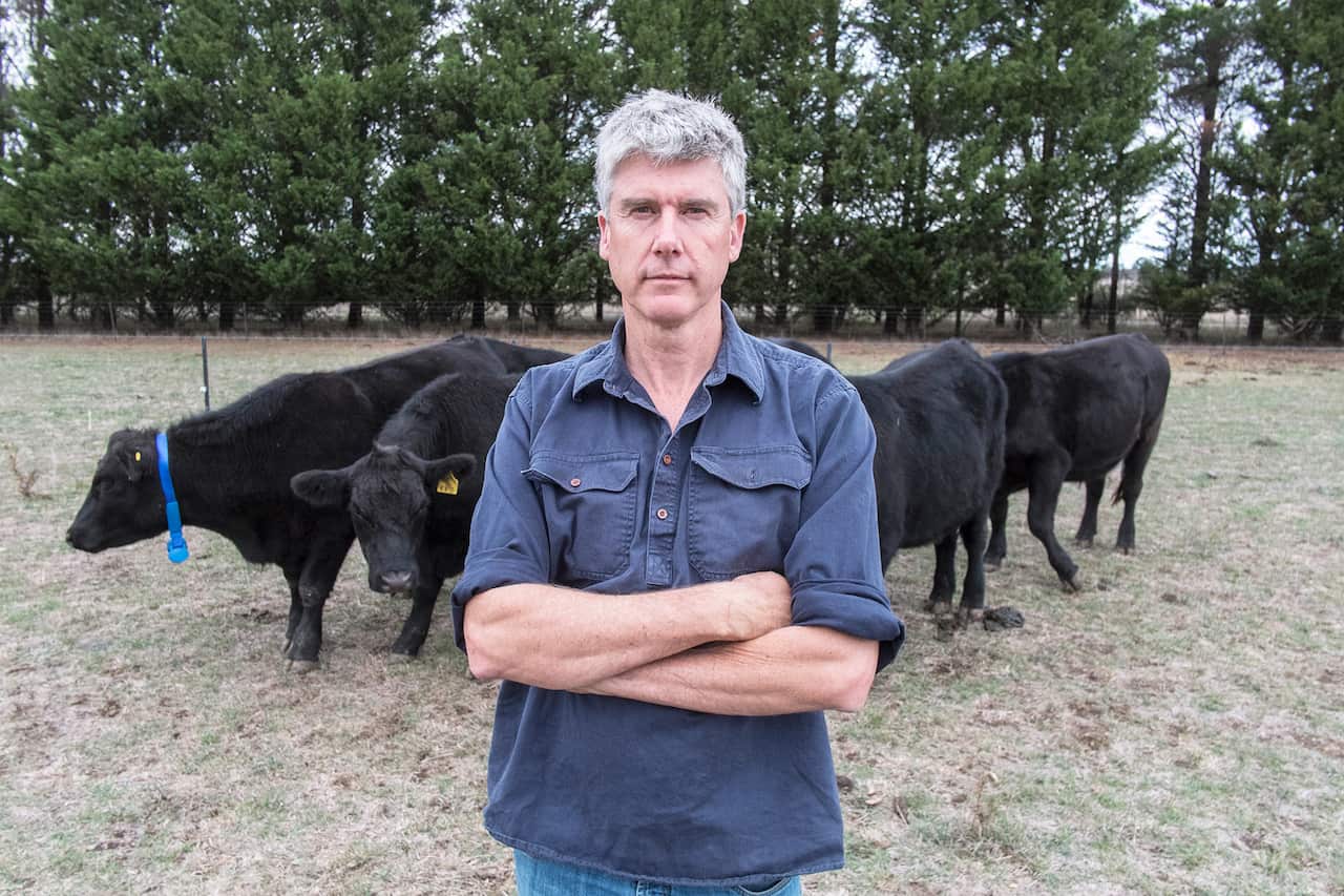 For the Love of Meat