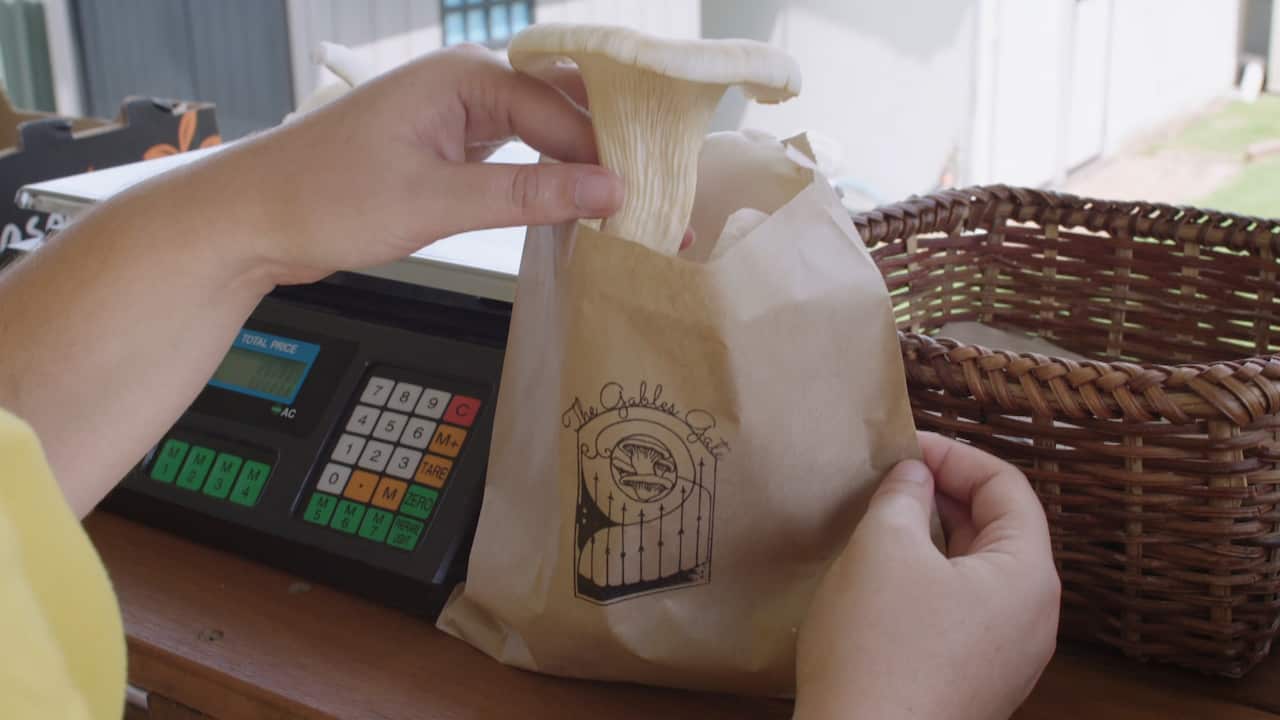 Packing mushrooms for Gables Gate