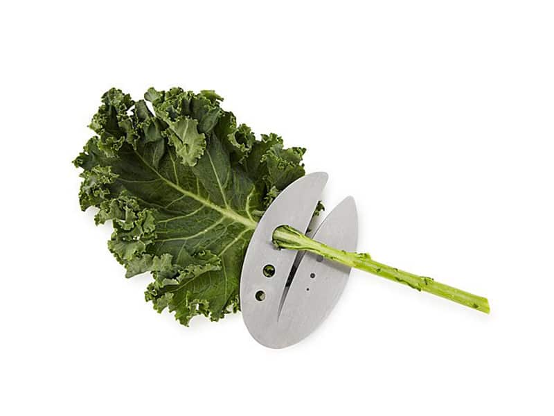 Kale shredder