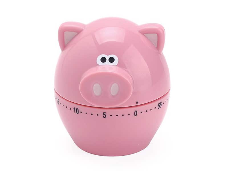 Piggy Wiggy timer