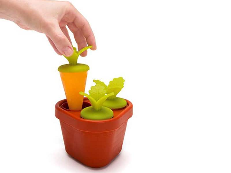 Carrot popsicle holder