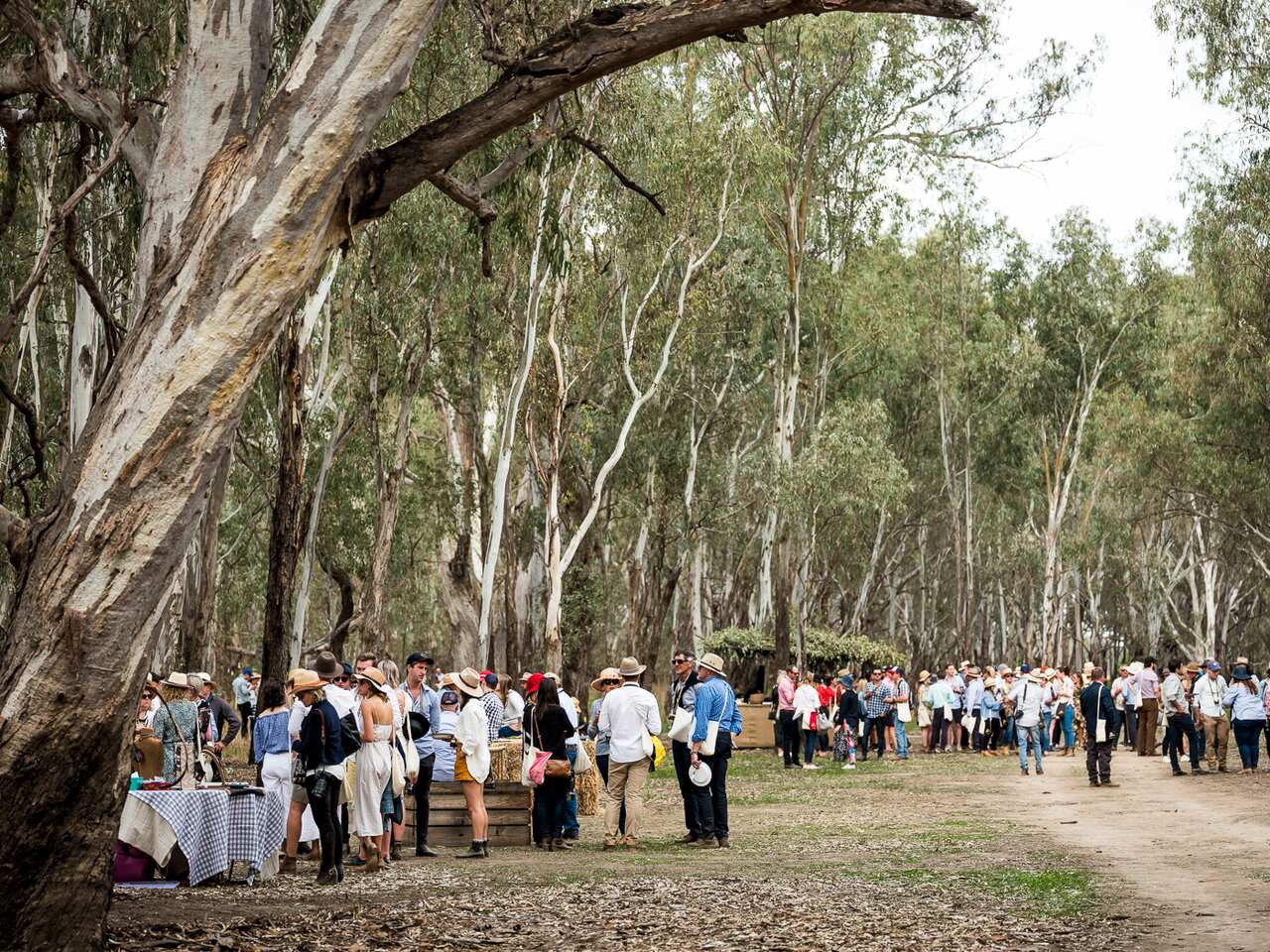 Grazing Down the Lachlan