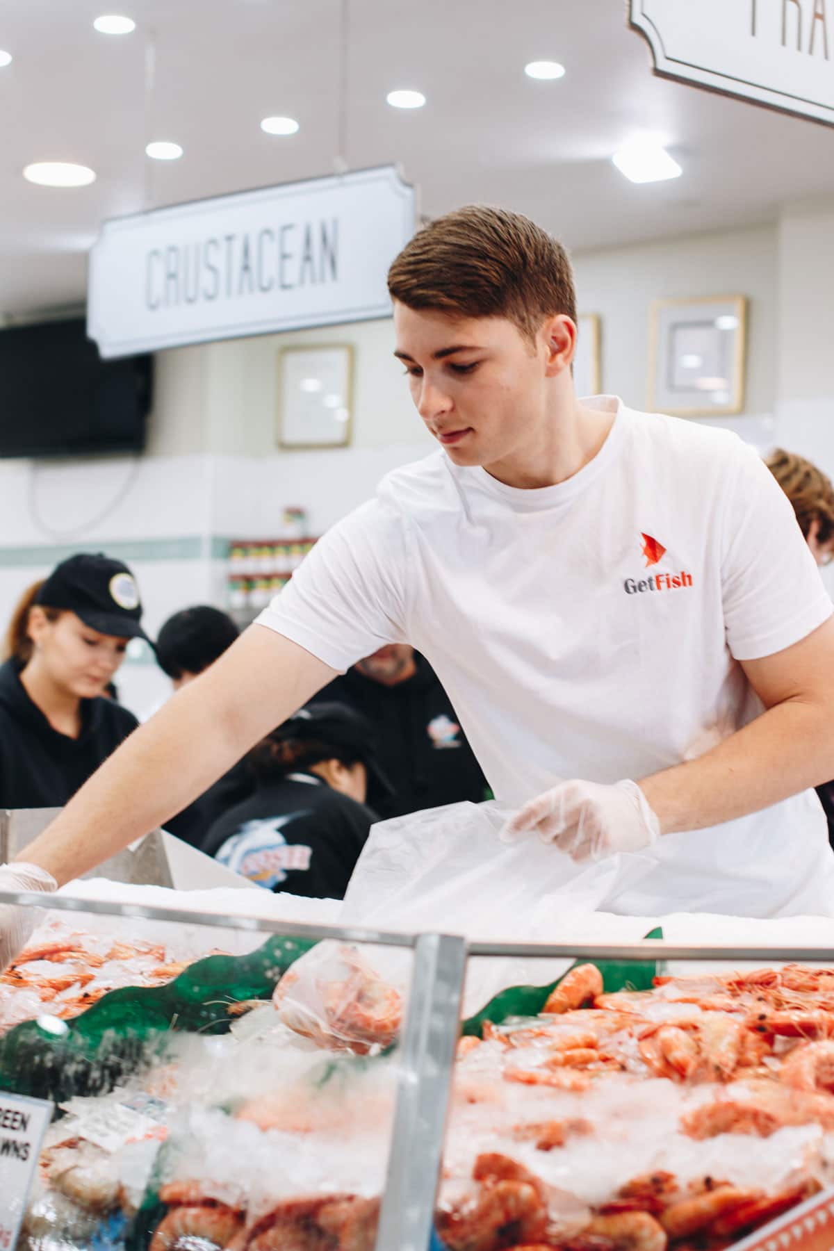 Antonio Muollo was 15 years old when he was working at the Sydney Fish Markets and noticed a gap in the online delivery space.