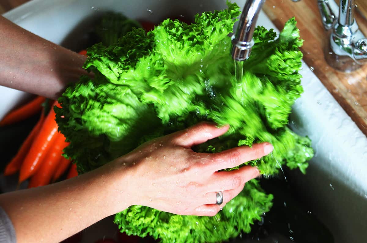 Woman washes a lettuce