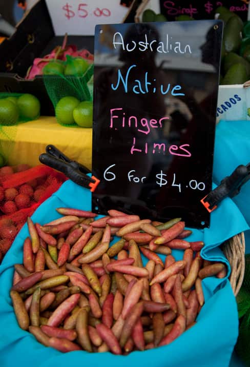 Australian native finger limes