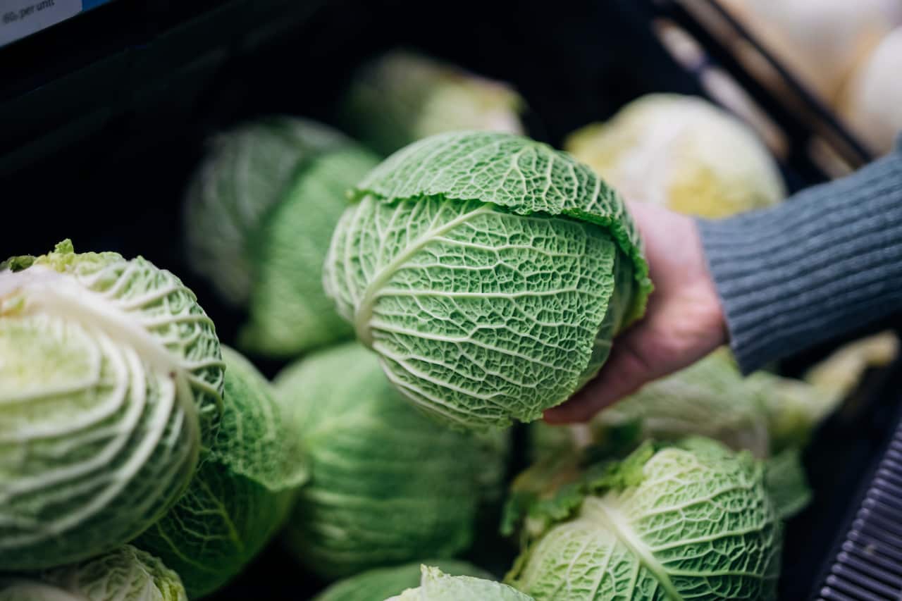 “Eating cabbages regularly is a very affordable way to meet some of your nutritional goals: that’s for sure.”