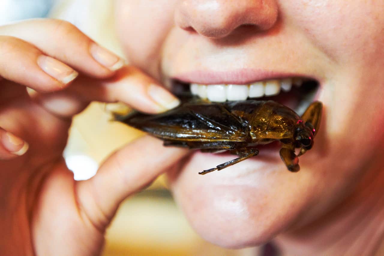 “It appears the more open you are to ‘exotic’ foods, the more willing you’ll be to taste-test a grasshopper, or an ant, or even a spider.”
