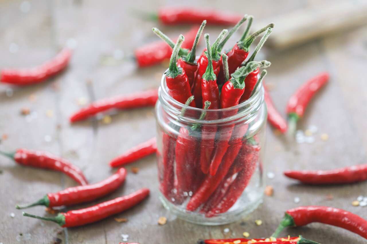 Could eating a lot of chilli every day in your older age be to blame for your bad memory?