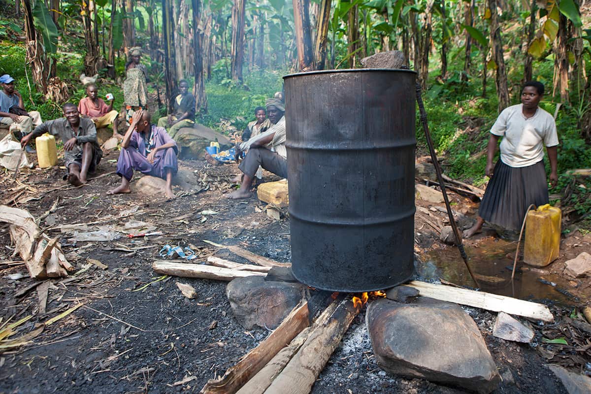 Fermenting banana wine