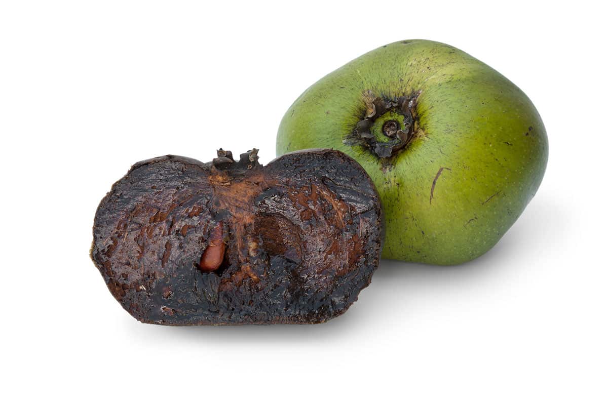 Native to the Amazon but grown in Northern Queensland, the black sapote fruit is famous for its chocolatey colour, texture and taste.