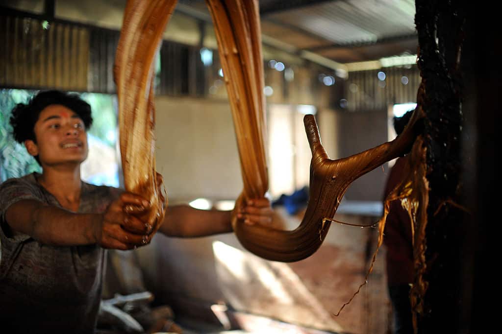 Maghe Sankranti Festival preparation in Nepal