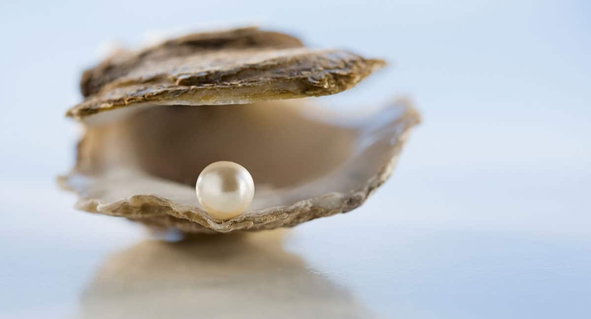 Pearl meat is considered a delicacy in Australia and Asia.