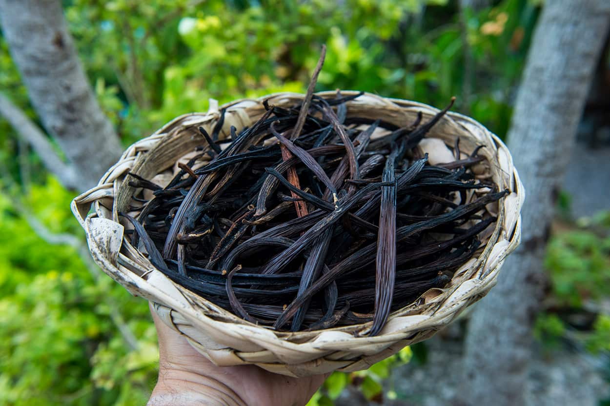 Vanilla in New Caledonia