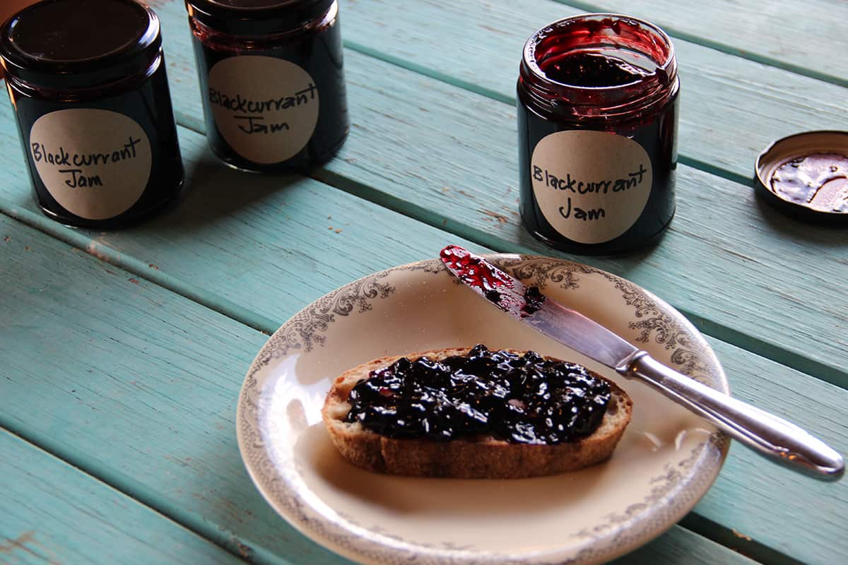 Blackcurrant jam - Gourmet Farmer series 4