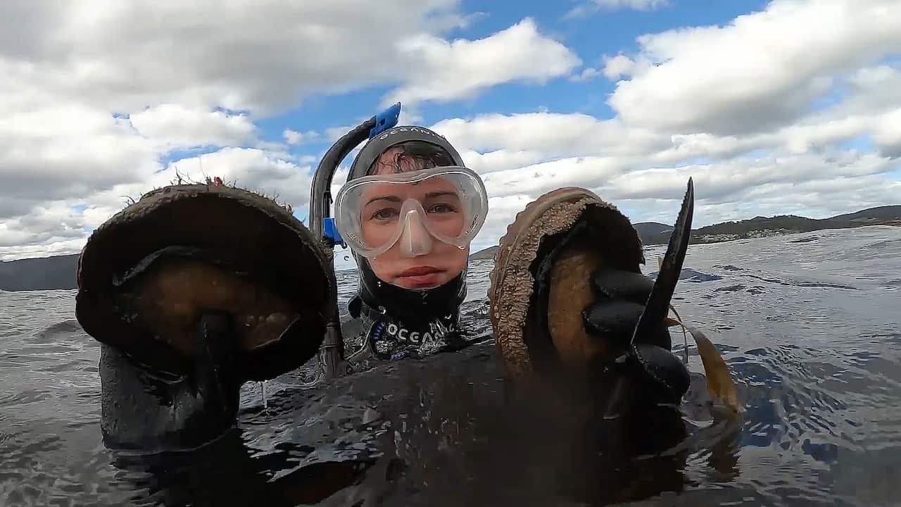Analiese Gregory dives for abalone in Tasmania.
