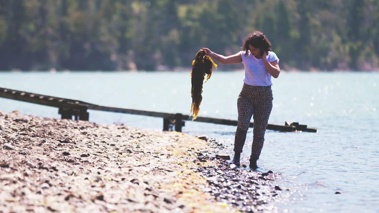 Analiese Gregory forages for wakami in Tasmania.