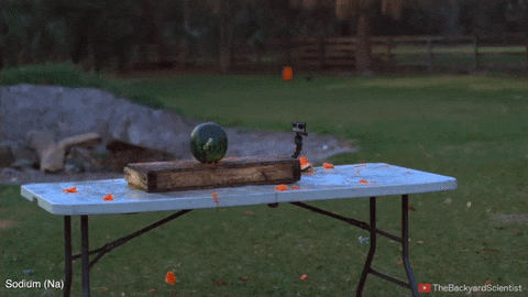 The Backyard Scientist