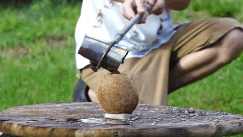 The Backyard Scientist