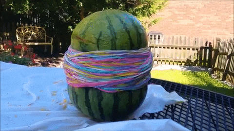Exploding watermelon