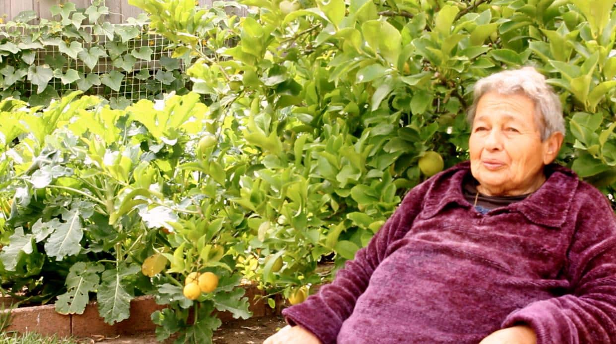 Grandma Fani sitting under her lemon tree.