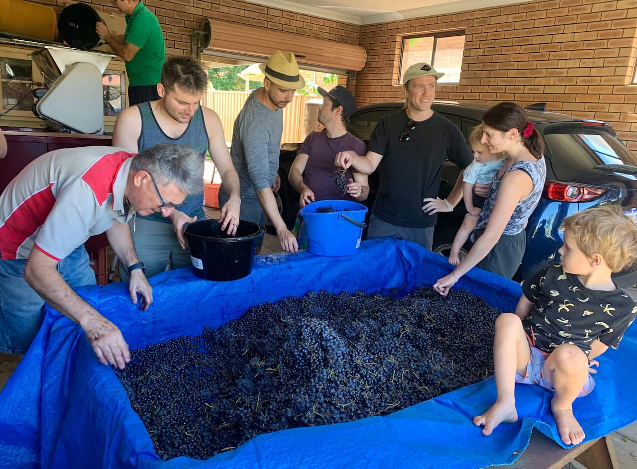 The D'Orazio family getting in on all the winemaking action.