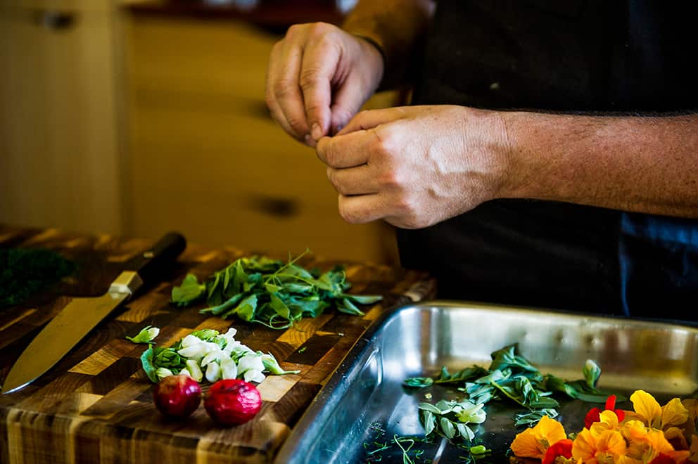 Grazing Down the Lachlan