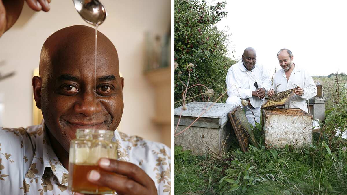 Ainsley Harriot explores British honey