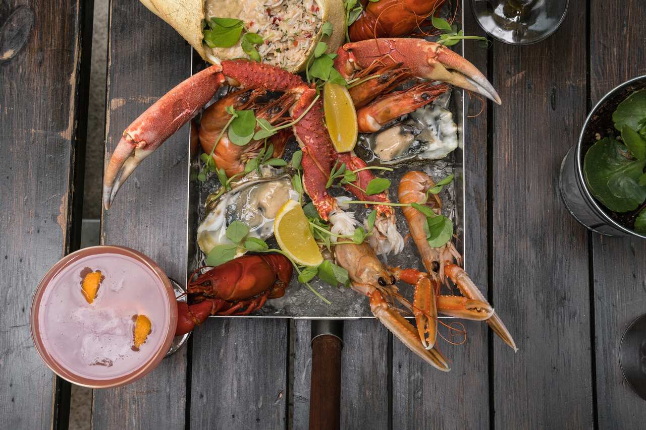 Guide to Australian shellfish
